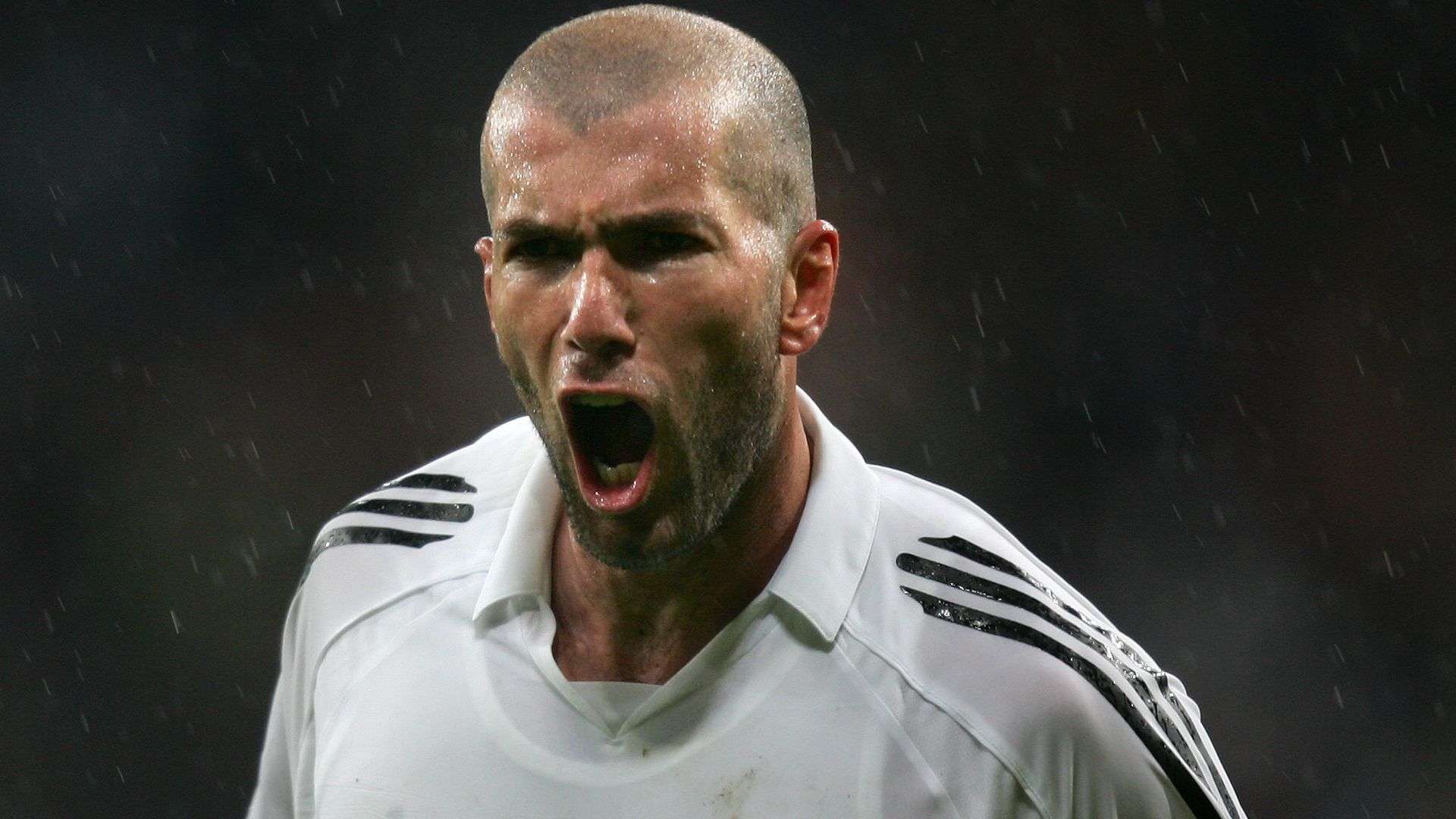 需要指出的 需要指出的